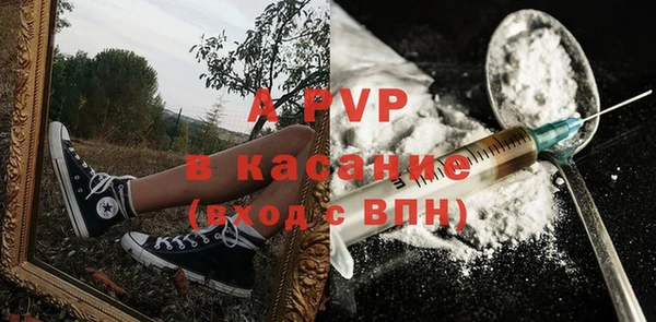 сатива Баксан