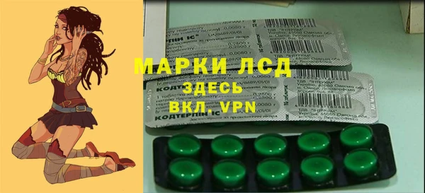 сатива Баксан