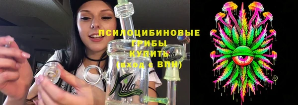 сатива Баксан