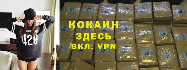 сатива Баксан